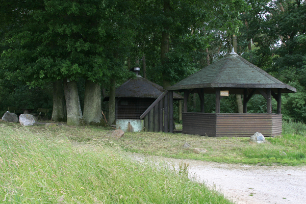 IMG_1791