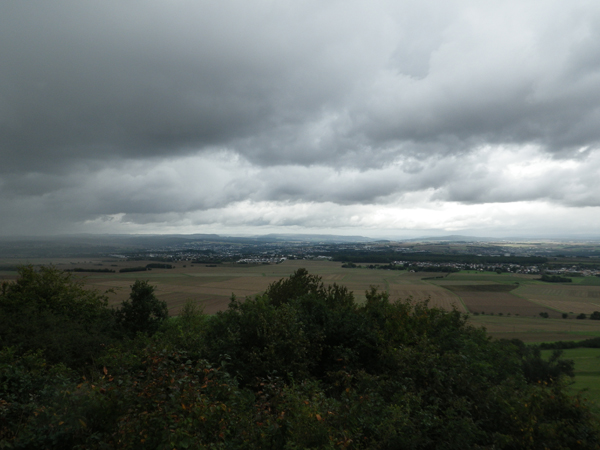 IMGP0253