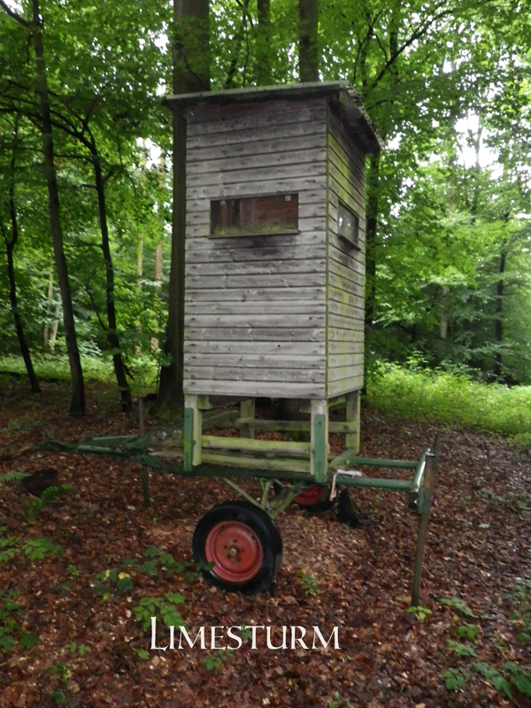 IMGP0194