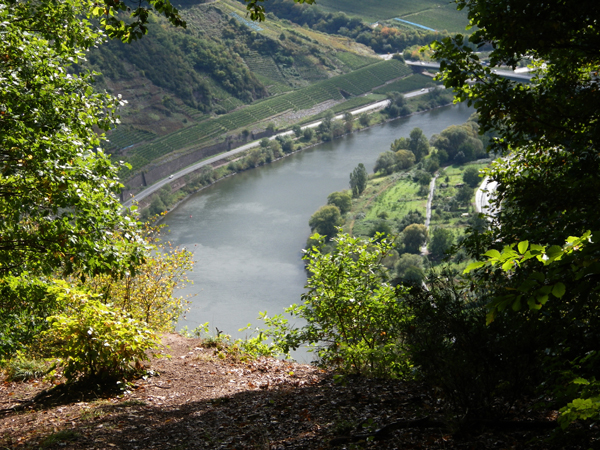 IMGP0346