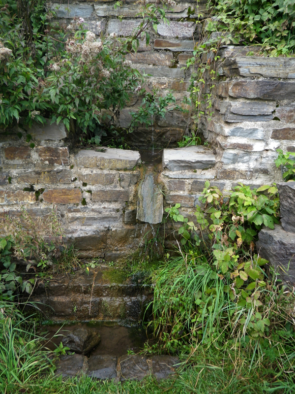 IMGP0366