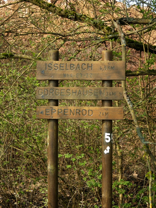IMGP1197