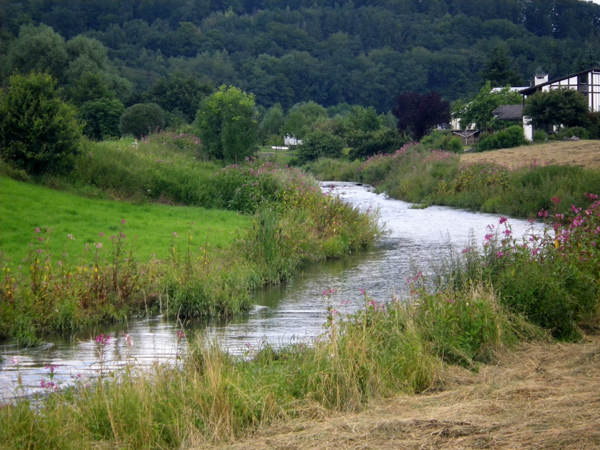 IMGP1756